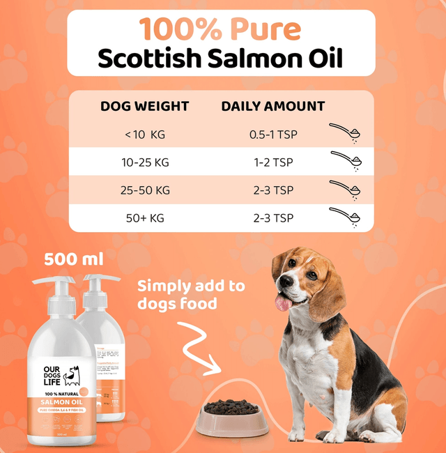 OurDogsLife - Salmon Oil | 500ml