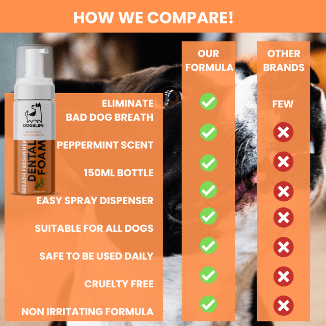 OurPetsLife - Dental Foam For Dogs