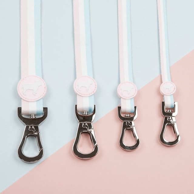 BarcLondon - Candyfloss Stripe City Lead