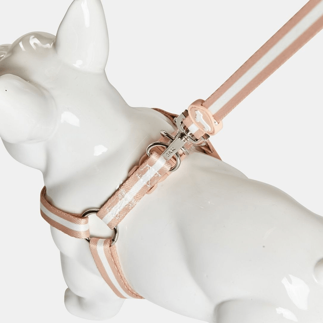 BarcLondon - Champagne Stripe Fabric Dog Harness