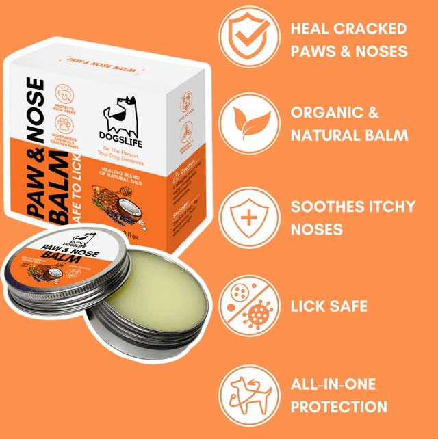 OurDogsLife - Protective Paw and Nose Balm