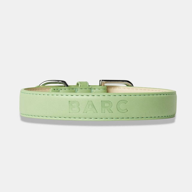 BarcLondon - Lush Green Dog Collar