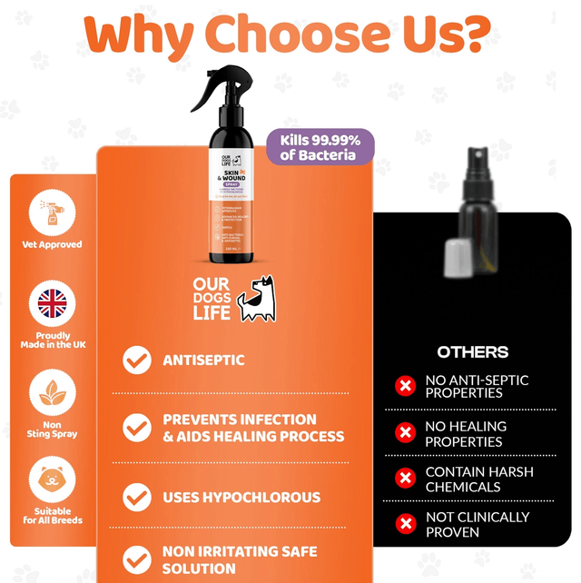 OurDogsLife - Skin & Wound Antiseptic Spray | 250ml