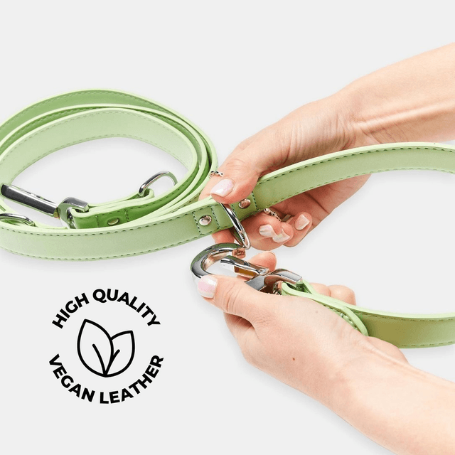 BarcLondon - Lush Green Versatile Lead