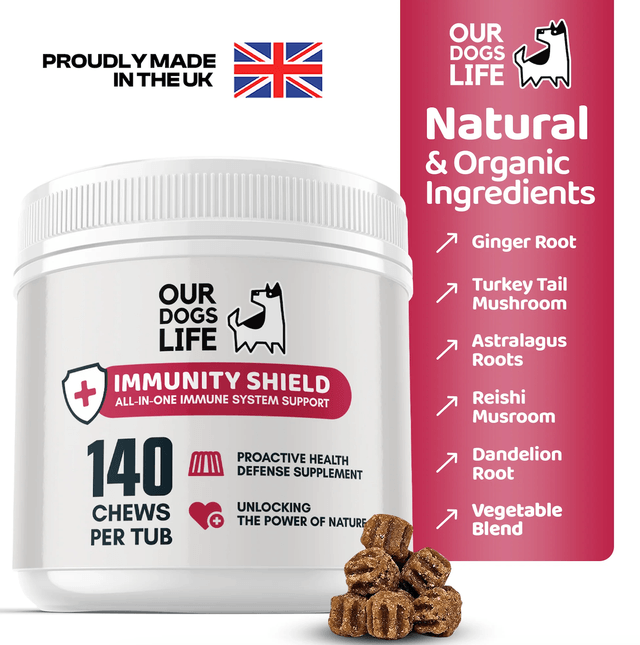 OurDogsLife - Immunity Shield Chews | 140 Chews