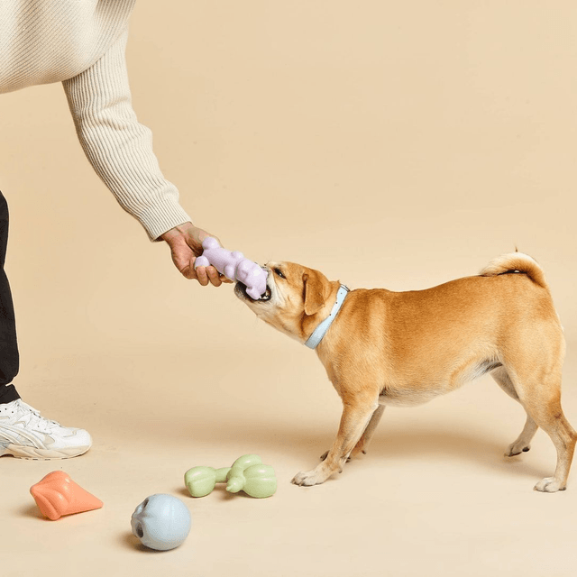BarcLondon - Gummy Sqeauky Dog Toy