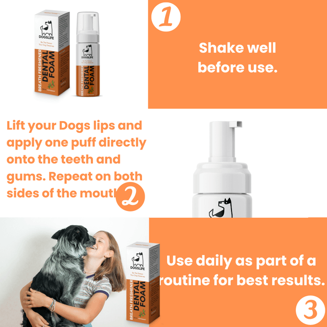 OurPetsLife - Dental Foam For Dogs