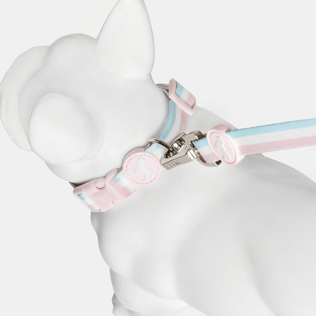 BarcLondon - Candyfloss Stripe Fabric Dog Collar