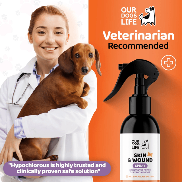OurDogsLife - Skin & Wound Antiseptic Spray | 250ml