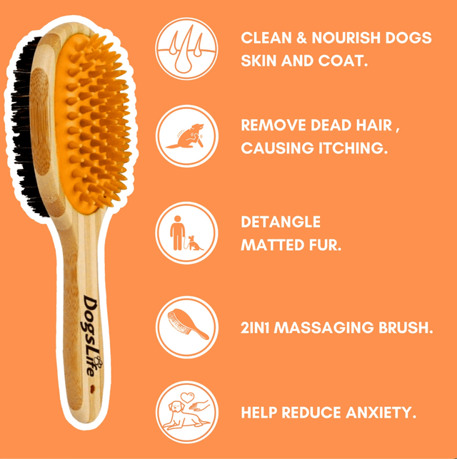 DogsLife - Bamboo Brush