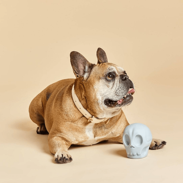 BarcLondon - Skully Sqeauky Dog Toy