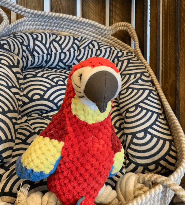 Parrot toy