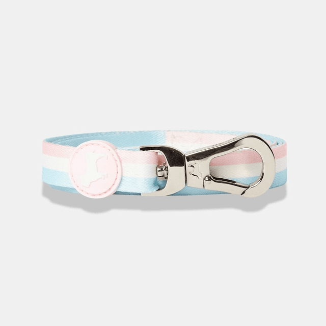 BarcLondon - Candyfloss Stripe City Lead