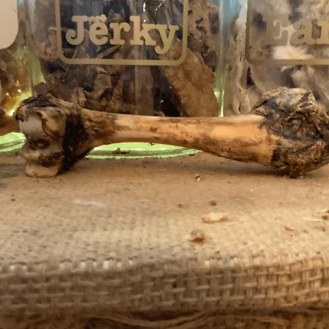 Deer bones