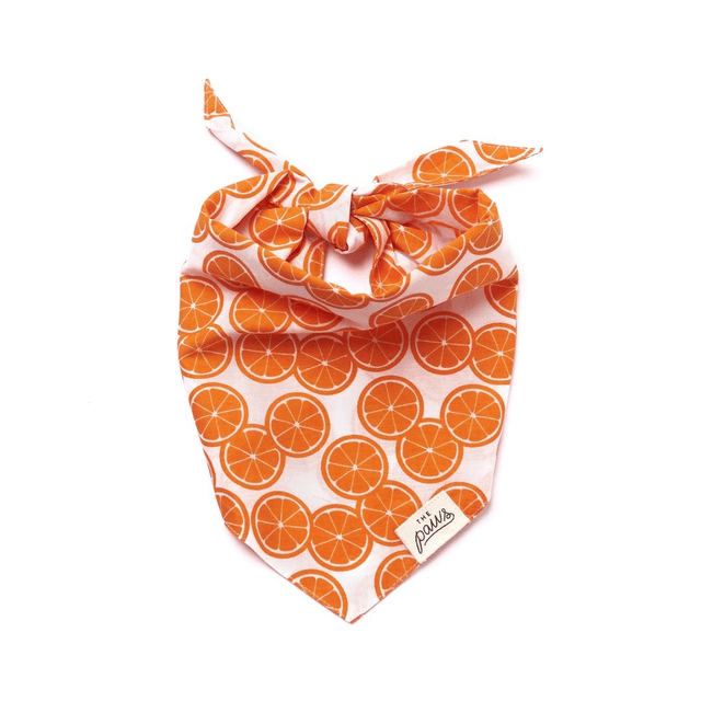 The Paws - Fresh Slice Dog Bandana