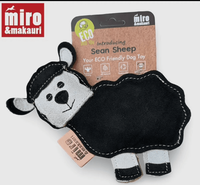 Miro &amp; Makauri