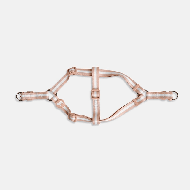 BarcLondon - Champagne Stripe Fabric Dog Harness