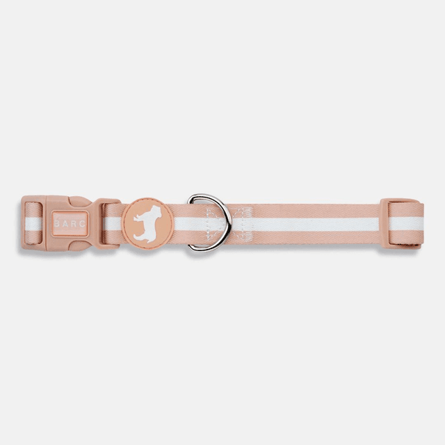 BarcLondon - Champagne Stripe Fabric Dog Collar