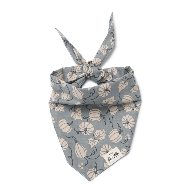 The Paws - Autumn Dog Bandana