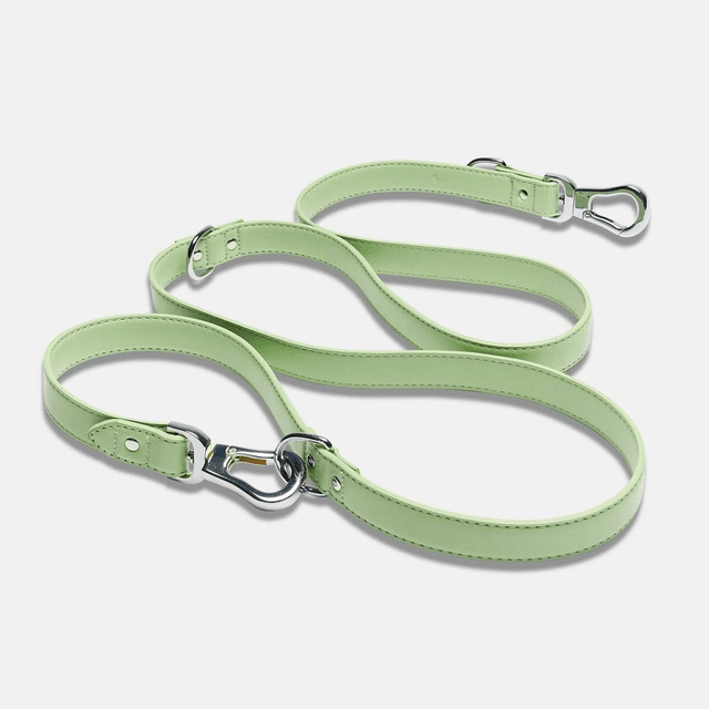 BarcLondon - Lush Green Versatile Lead