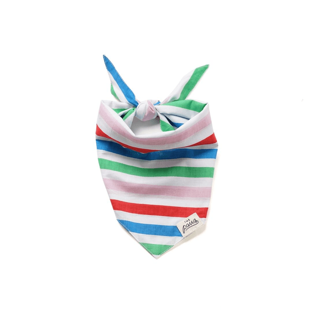 The Paws - Striped Dog Bandana 