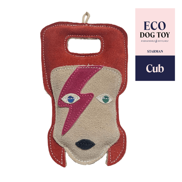 CUB - Starman